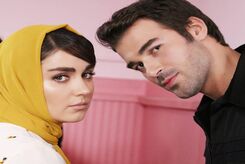 همسر افسانه پاکرو کیست؟ +عکس خواهر دوقلوی افسانه پاکرو