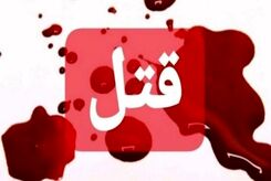 کشف اعضای بدن زن جوان در سطل آشغال