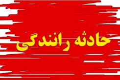 ببینید لحظه حادثه عجیب چپ کردن پژو ۲۰۶ در دل جنگل + فیلم
