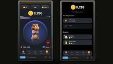 ۱۸ پرونده کلاهبرداری در خصوص بازی همستر کامبت + فیلم
