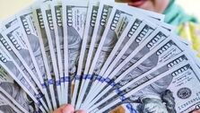 بلایی که ارز 4200 تومانی سر بازار آورد / دلار باید 14 هزار تومان می‌ماند